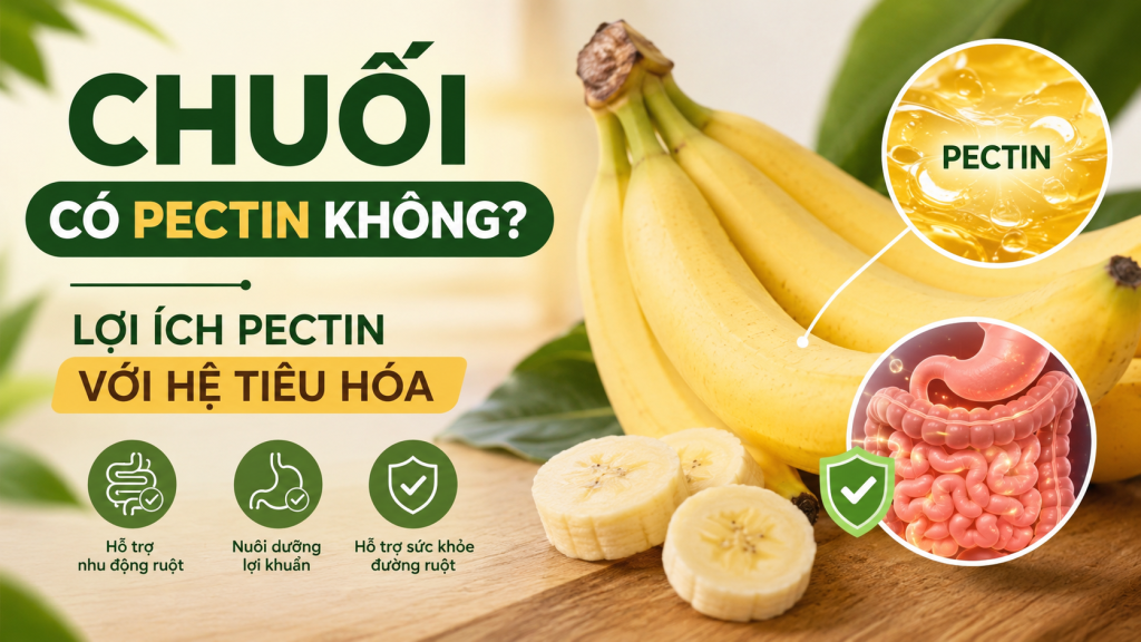 Chuối Có Pectin Không? Lợi Ích Pectin Với Hệ Tiêu Hóa