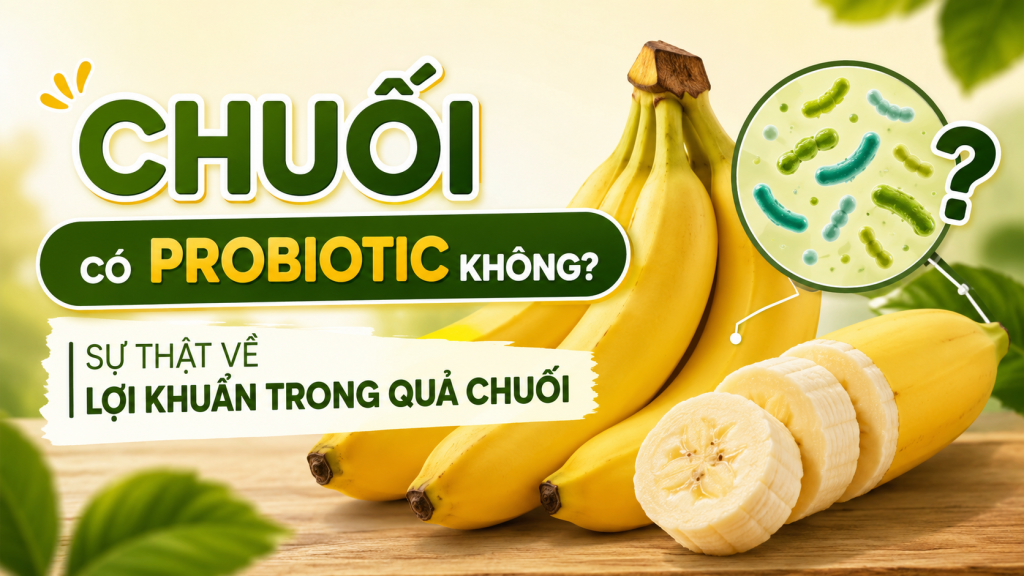 Chuối Có Probiotic Không? Sự Thật Về Lợi Khuẩn Trong Quả Chuối