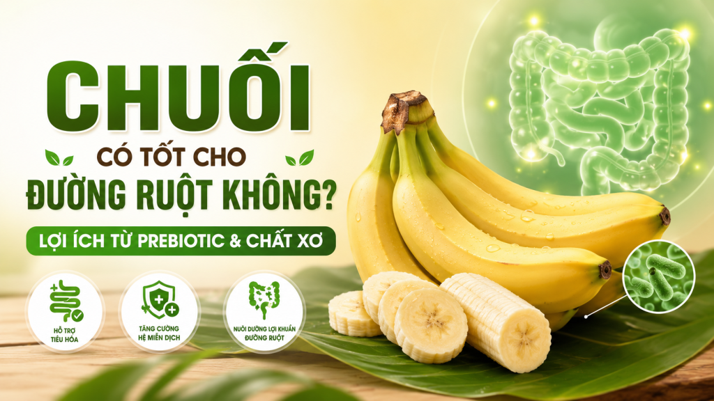Chuối Có Tốt Cho Đường Ruột Không? Lợi Ích Từ Prebiotic & Chất Xơ