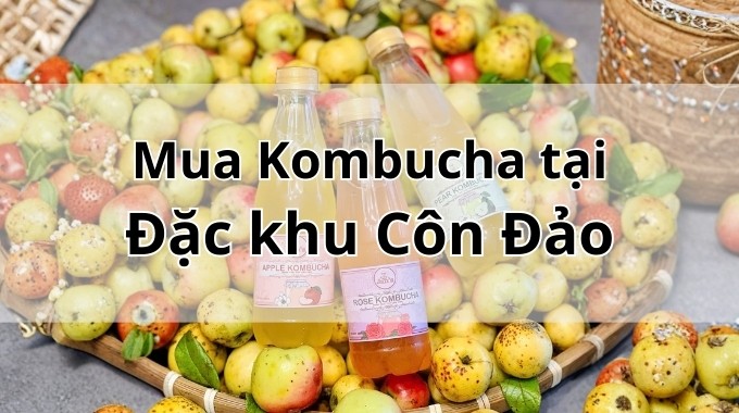 Top 5 địa chỉ bán Kombucha uy tín tại Đặc khu Côn Đảo TpHCM