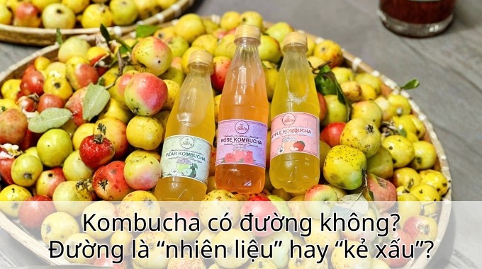 Kombucha có đường không? Đường là “nhiên liệu” hay “kẻ xấu”?