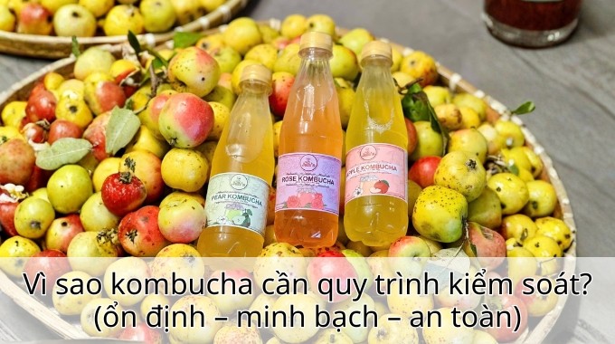 Vì sao kombucha cần quy trình kiểm soát? (ổn định – minh bạch – an toàn)
