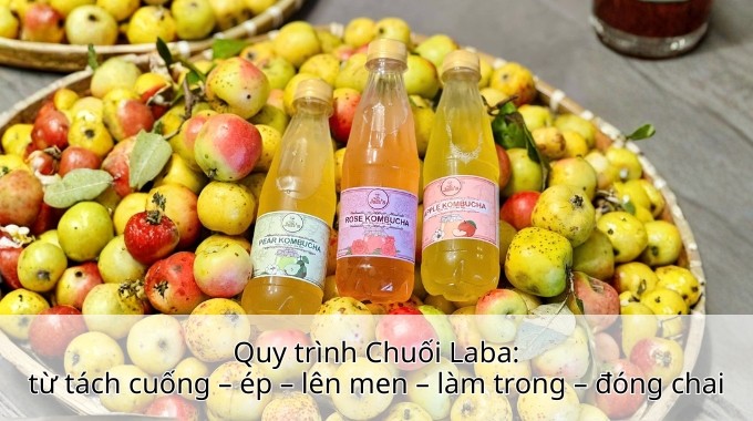 Quy trình Chuối Laba: từ tách cuống – ép – lên men – làm trong – đóng chai