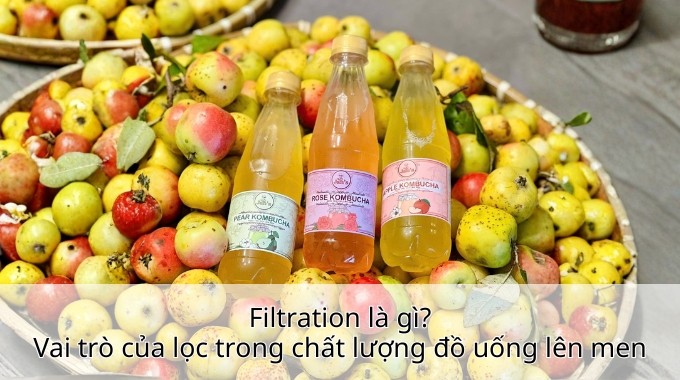 Filtration là gì? Vai trò của lọc trong chất lượng đồ uống lên men