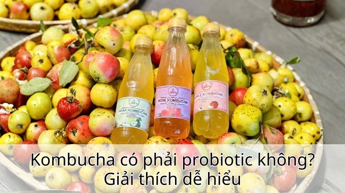 Kombucha có phải probiotic không? Giải thích dễ hiểu