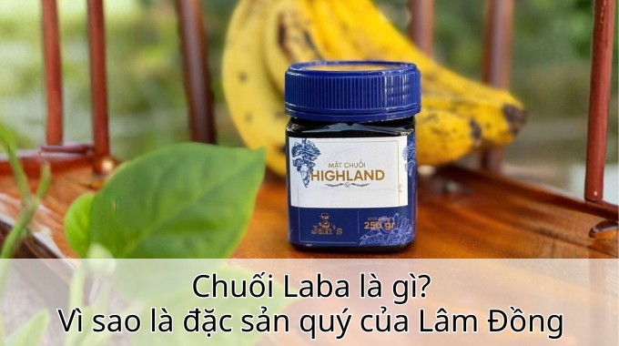 Chuối Laba là gì? Vì sao là đặc sản quý của Lâm Đồng