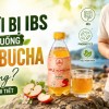 Người Bị IBS Có Nên Uống Kombucha Không? Giải Đáp Chi Tiết