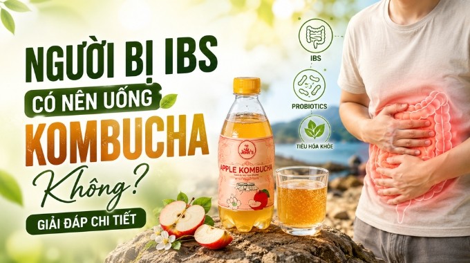 Người Bị IBS Có Nên Uống Kombucha Không? Giải Đáp Chi Tiết