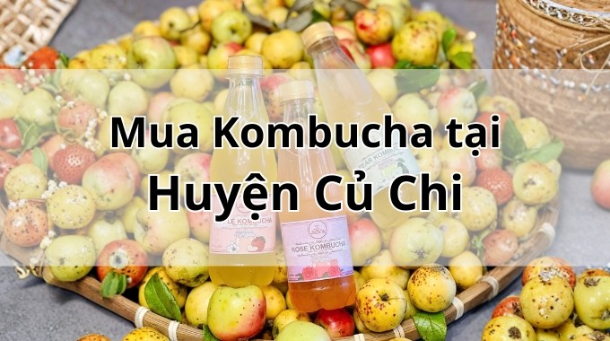 Top 5 địa chỉ bán Kombucha uy tín tại Huyện Củ Chi TpHCM