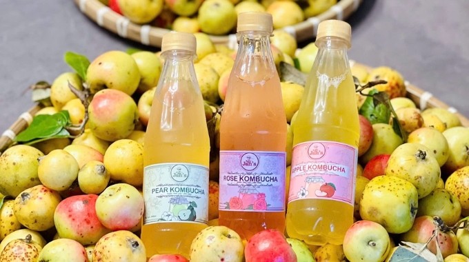 Kombucha tại Bà Rịa Vũng Tàu: Nước trái cây lên men tự nhiên chất lượng