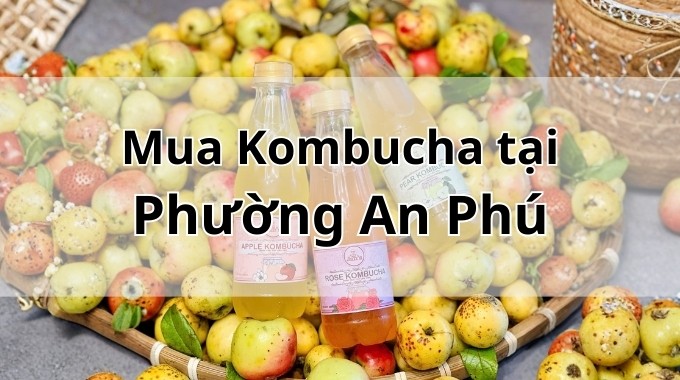 Top 5 địa chỉ bán Kombucha uy tín tại Phường An Phú TpHCM