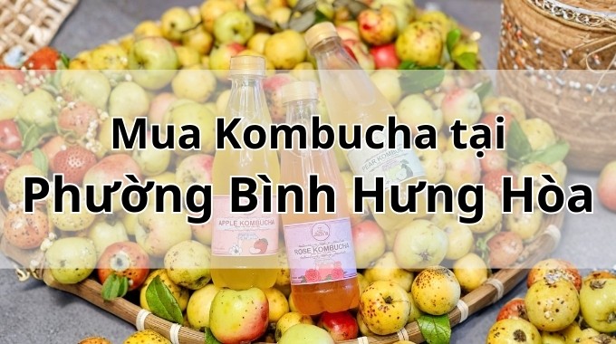 Top 5 địa chỉ bán Kombucha uy tín tại Phường Bình Hưng Hòa TpHCM