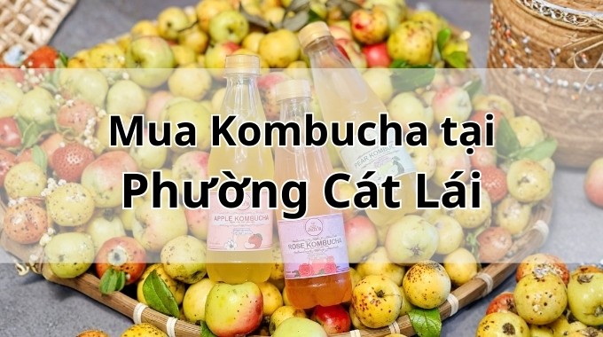 Top 5 địa chỉ bán Kombucha uy tín tại Phường Cát Lái TpHCM