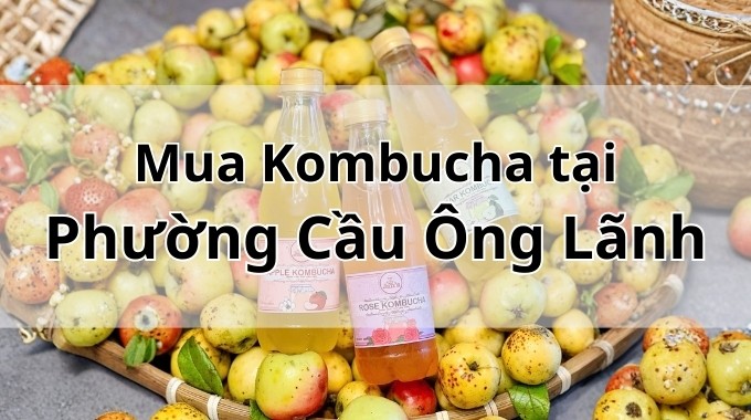 Top 5 địa chỉ bán Kombucha uy tín tại Phường Cầu Ông Lãnh TpHCM
