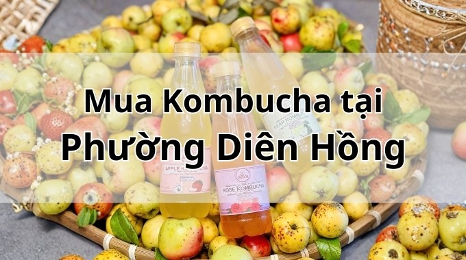 Top 5 địa chỉ bán Kombucha uy tín tại Phường Diên Hồng TpHCM