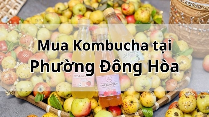 Top 5 địa chỉ bán Kombucha uy tín tại Phường Đông Hòa TpHCM