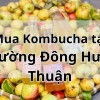 Top 5 địa chỉ bán Kombucha uy tín tại Phường Đông Hưng Thuận TpHCM