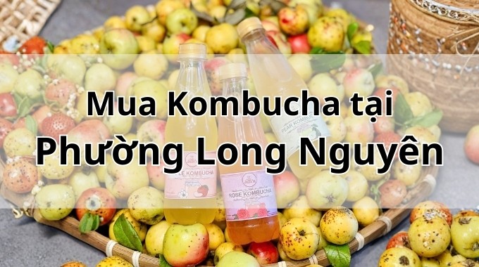Top 5 địa chỉ bán Kombucha uy tín tại Phường Long Nguyên TpHCM