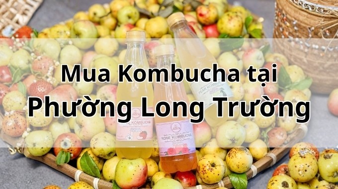 Top 5 địa chỉ bán Kombucha uy tín tại Phường Long Trường TpHCM