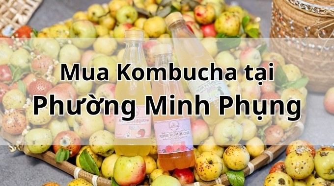 Top 5 địa chỉ bán Kombucha uy tín tại Phường Minh Phụng TpHCM