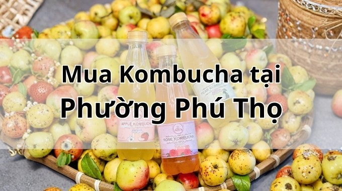 Top 5 địa chỉ bán Kombucha uy tín tại Phường Phú Thọ TpHCM