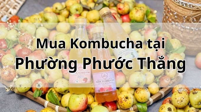 Top 5 địa chỉ bán Kombucha uy tín tại Phường Phước Thắng TpHCM