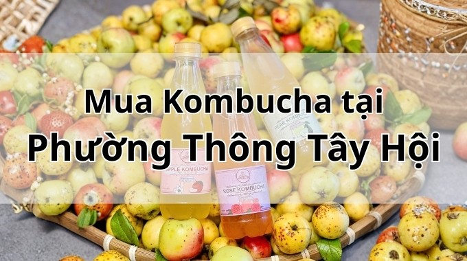 Top 5 địa chỉ bán Kombucha uy tín tại Phường Thông Tây Hội TpHCM