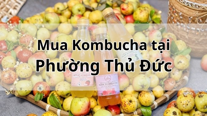 Top 5 địa chỉ bán Kombucha uy tín tại Phường Thủ Đức TpHCM