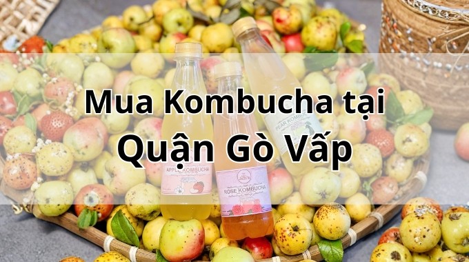 Top 5 địa chỉ bán Kombucha uy tín tại Quận Gò Vấp TpHCM