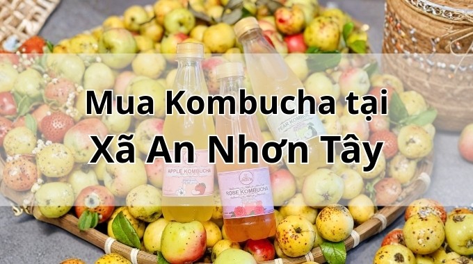 Top 5 địa chỉ bán Kombucha uy tín tại Xã An Nhơn Tây TpHCM
