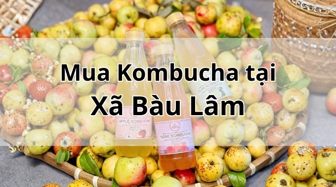Top 5 địa chỉ bán Kombucha uy tín tại Xã Bàu Lâm TpHCM