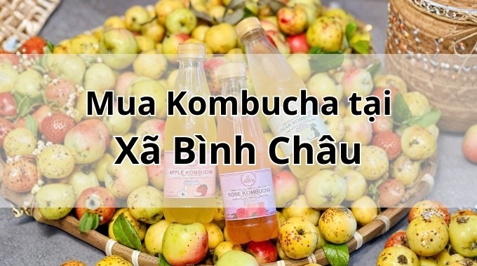 Top 5 địa chỉ bán Kombucha uy tín tại Xã Bình Châu TpHCM