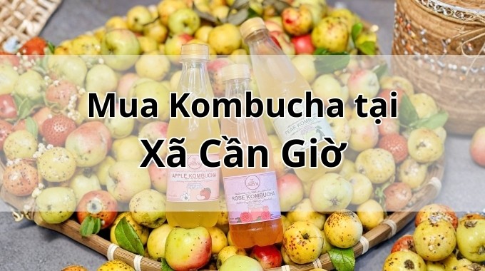 Top 5 địa chỉ bán Kombucha uy tín tại Xã Cần Giờ TpHCM