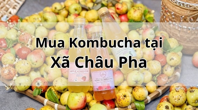 Top 5 địa chỉ bán Kombucha uy tín tại Xã Châu Pha TpHCM