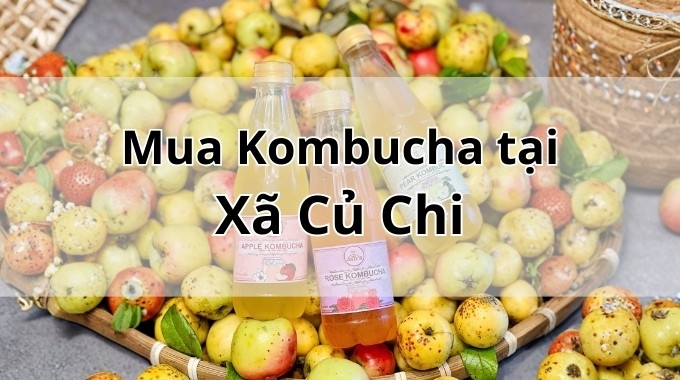 Top 5 địa chỉ bán Kombucha uy tín tại Xã Củ Chi TpHCM