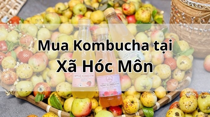 Top 5 địa chỉ bán Kombucha uy tín tại Xã Hóc Môn TpHCM