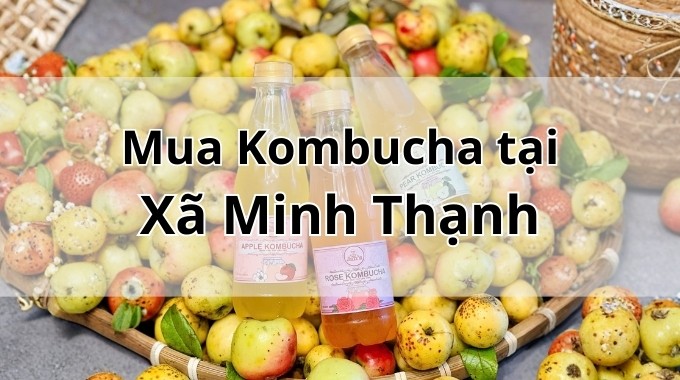 Top 5 địa chỉ bán Kombucha uy tín tại Xã Minh Thạnh TpHCM