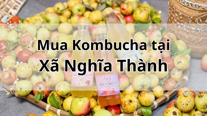 Top 5 địa chỉ bán Kombucha uy tín tại Xã Nghĩa Thành TpHCM