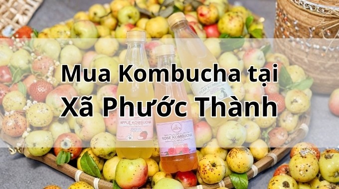 Top 5 địa chỉ bán Kombucha uy tín tại Xã Phước Thành TpHCM