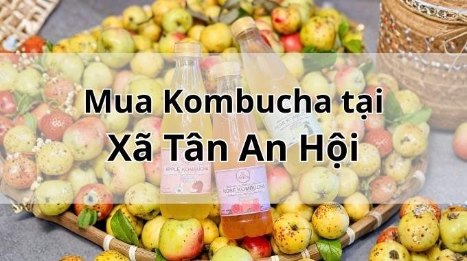 Top 5 địa chỉ bán Kombucha uy tín tại Xã Tân An Hội TpHCM