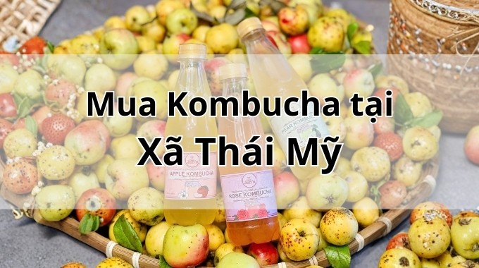 Top 5 địa chỉ bán Kombucha uy tín tại Xã Thái Mỹ TpHCM