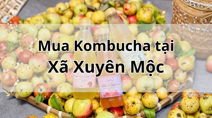Top 5 địa chỉ bán Kombucha uy tín tại Xã Xuyên Mộc TpHCM