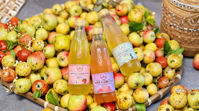 Thưởng thức kombucha lạnh cùng đá viên – đồ uống healthy thay thế nước ngọt có gas